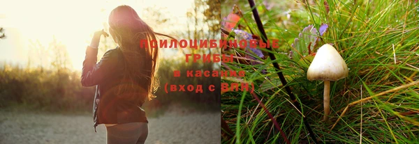 трава Абаза